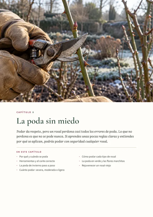 Página de apertura del capítulo 8, La poda sin miedo